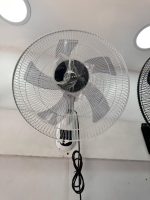 Dolphin orbit wall fan