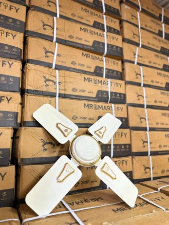 Smartfy 24 inches ceiling fan