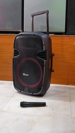 Sundar outdoor speaker 15 inches