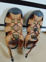 24591ce5-1fdc-468f-accf-46d9d1ec51cf